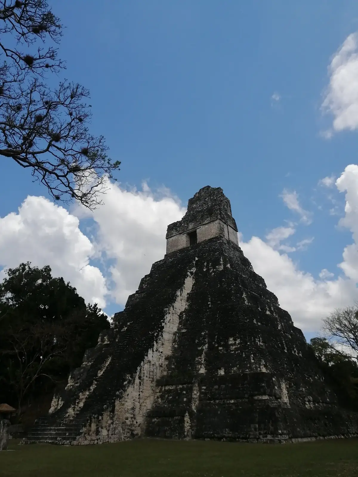 Tikal