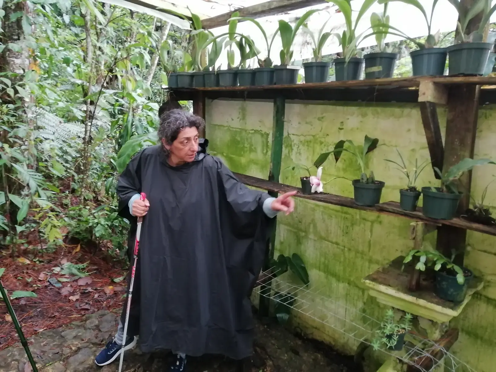 La reserva de orquídeas de Orquigonia
