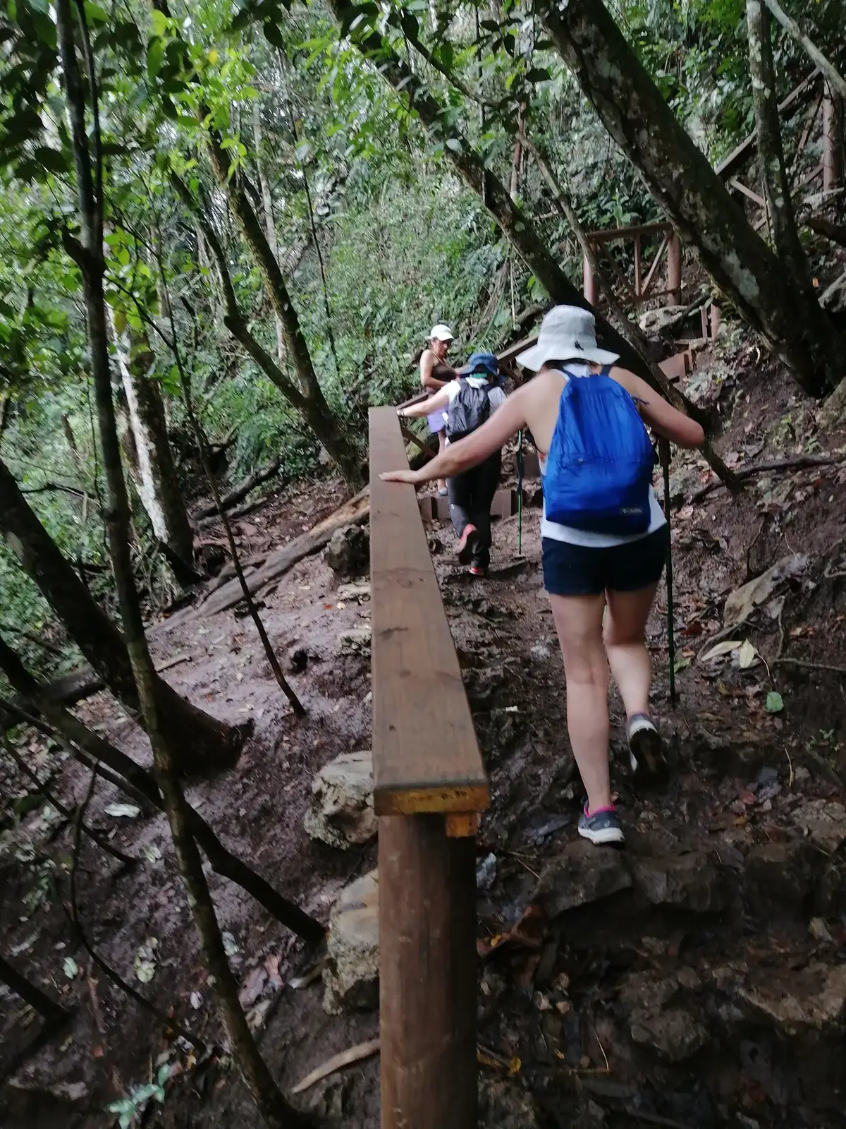 El sendero hacia el mirador